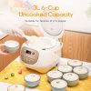 Joydeem Ceramic Rice Cooker, 6 Cups Uncooked Rice Cookers with Pure Ceramic Inner Pot, Healthy & PFOA Free, 3L/3.2 qt, DFB-C300